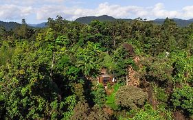 Magic Mena Rainforest Retreat By Tiny Away